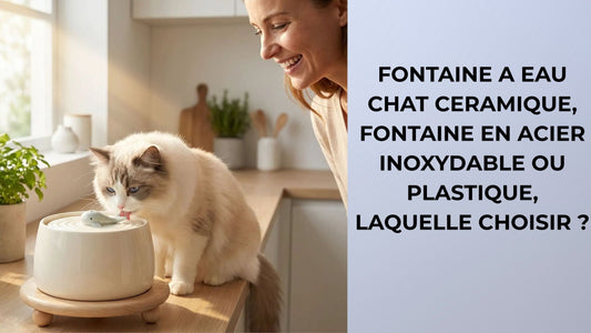 FONTAINE A EAU CHAT CERAMIQUE, FONTAINE EN ACIER INOXYDABLE OU PLASTIQUE, LAQUELLE CHOISIR 