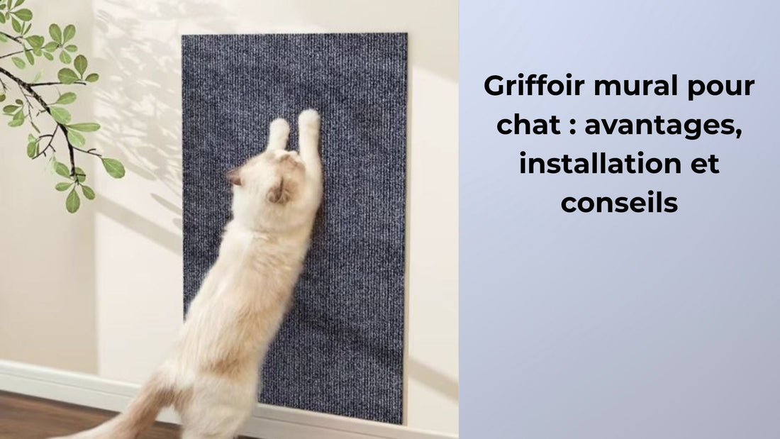 Griffoir mural pour chat : avantages, installation et conseils