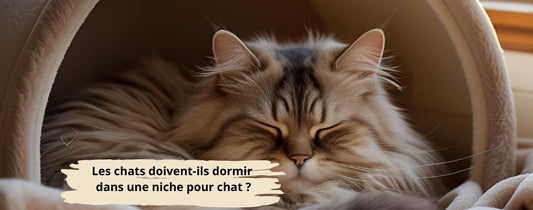 Les chats doivent-ils dormir dans une niche pour chat  ?