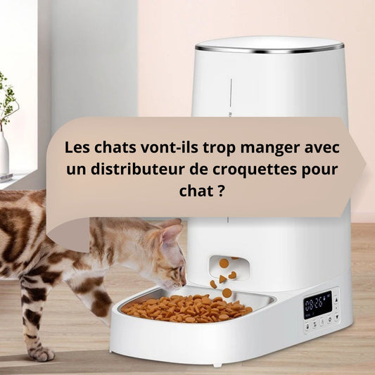 Les chats vont-ils trop manger avec un distributeur de croquettes pour chat ?