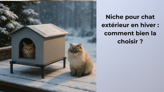 niche pour chat extérieur en hiver