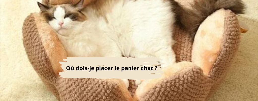 Où-dois-je-placer-le-panier-chat 