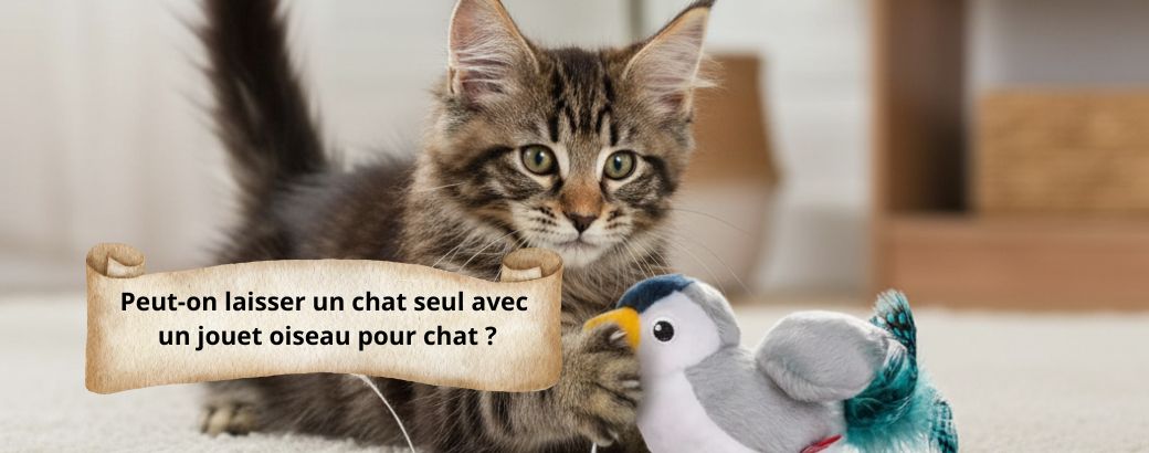 Peut-on laisser un chat seul avec un jouet oiseau pour chat 