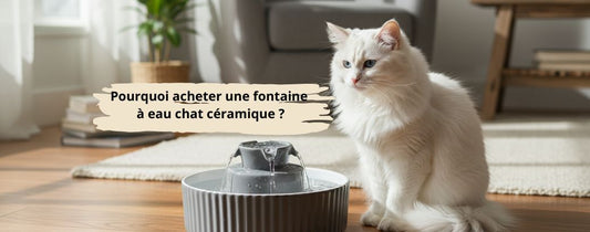 Pourquoi acheter une fontaine à eau chat céramique 