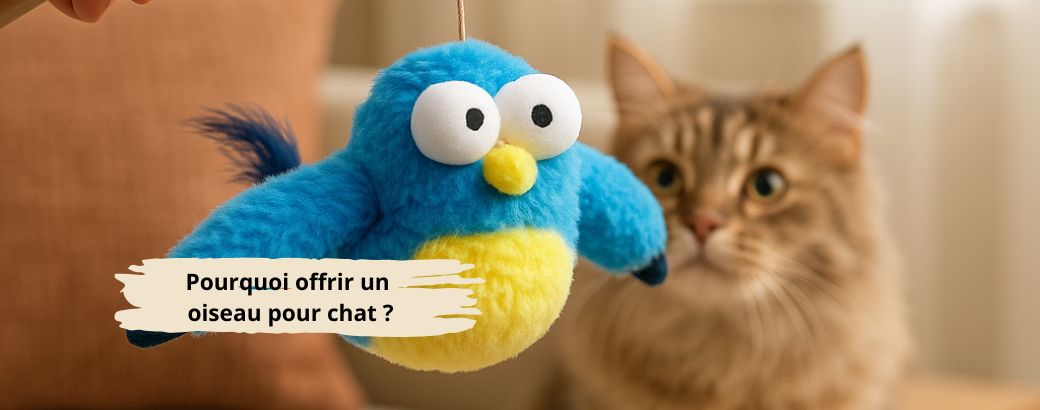Pourquoi offrir un oiseau pour chat 