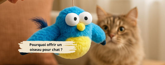 Pourquoi offrir un oiseau pour chat 