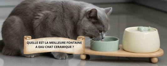 QUELLE EST LA MEILLEURE FONTAINE A EAU CHAT CERAMIQUE 