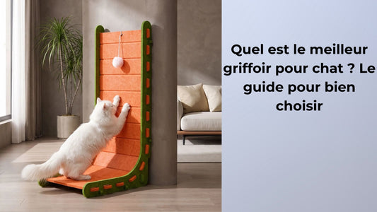 Quel est le meilleur griffoir pour chat  Le guide pour bien choisir
