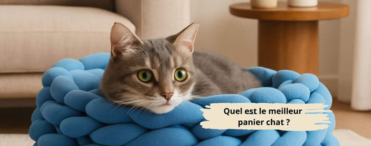 Quel est le meilleur panier chat 