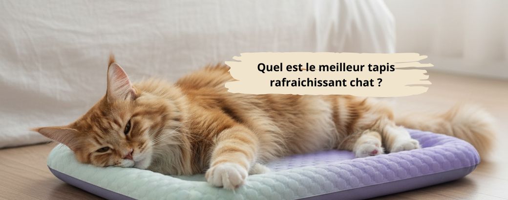 Quel est le meilleur tapis rafraichissant chat 