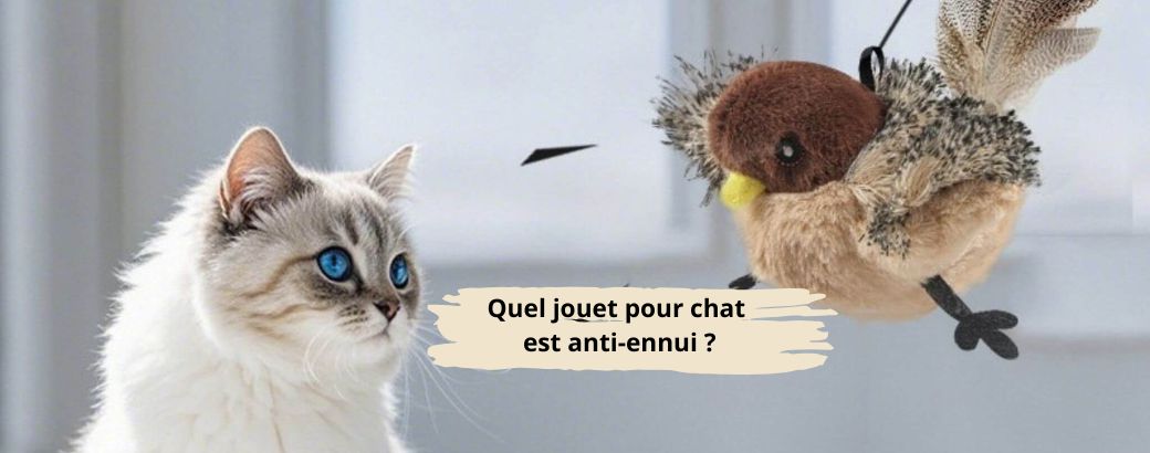 Quel jouet pour chat est anti ennui 