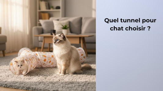 Quel tunnel pour chat choisir