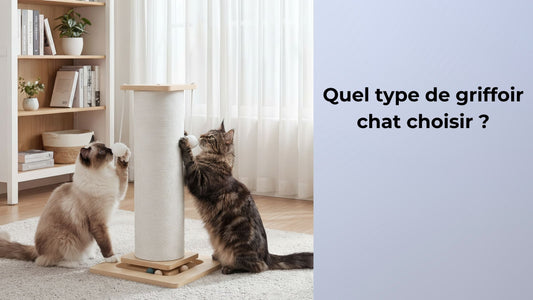 Quel type de griffoir chat choisir 