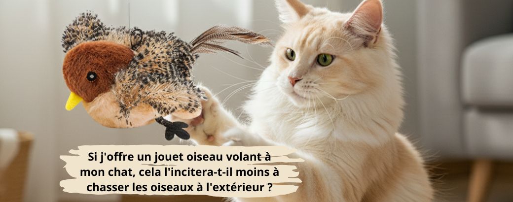 Si j'offre un jouet oiseau volant à mon chat, cela l'incitera-t-il moins à chasser les oiseaux à l'extérieur 