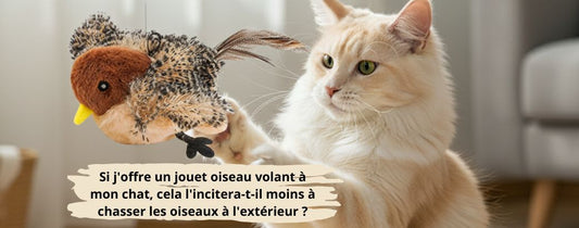 Si j'offre un jouet oiseau volant à mon chat, cela l'incitera-t-il moins à chasser les oiseaux à l'extérieur 