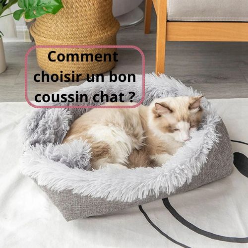 Comment choisir un bon coussin chat ? - Happy minet