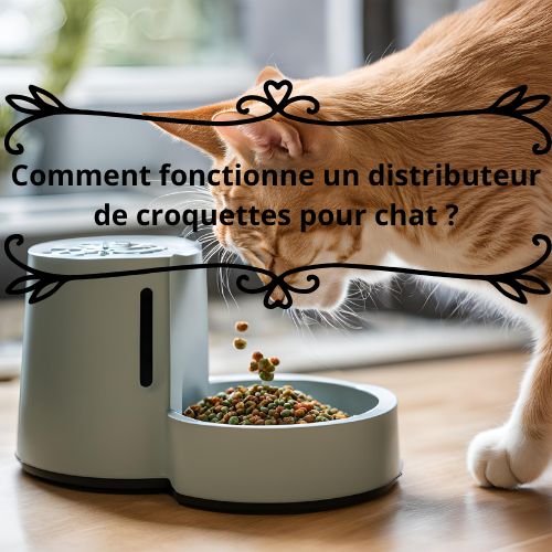 comment fonctionne un distributeur de croquettes pour chat ? - Happy minet