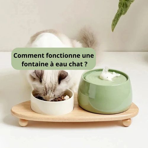 Comment fonctionne une fontaine à eau chat ? - Happy minet