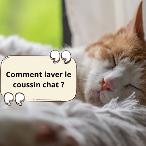 Comment laver le coussin chat ? - Happy minet