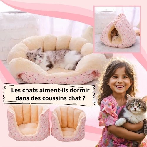 Les chats aiment-ils dormir dans des coussins chat ? - Happy minet