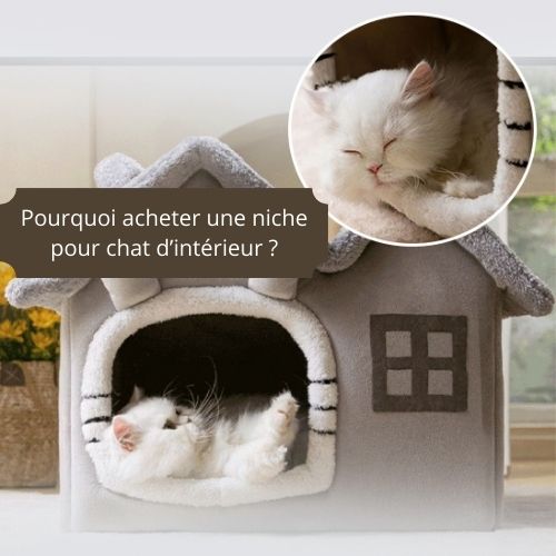 Pourquoi acheter une niche pour chats d'intérieur ? - Happy minet