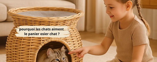 pourquoi les chats aiment le panier osier chat 