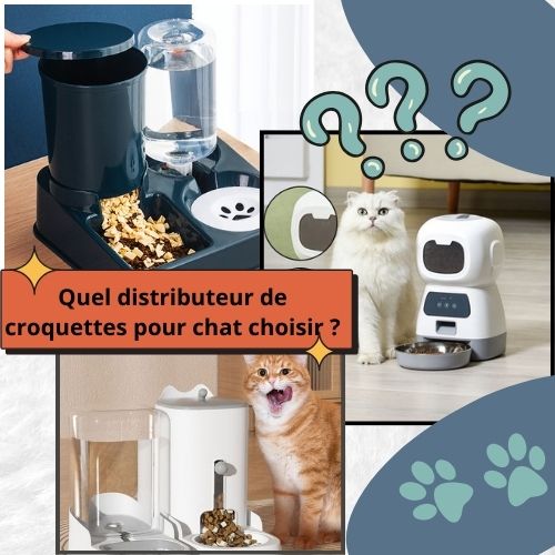 Quel distributeur de croquettes pour chat choisir ? - Happy minet