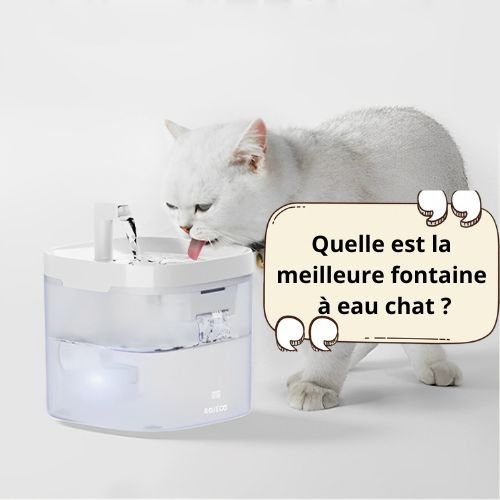Quelle est la meilleure fontaine à eau chat ? - Happy minet