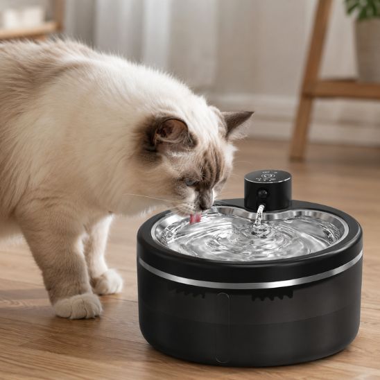 fontaine eau chat sans fil design