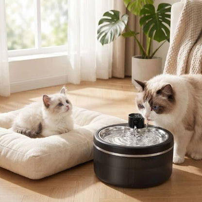 fontaine eau chat sans fil hydratante