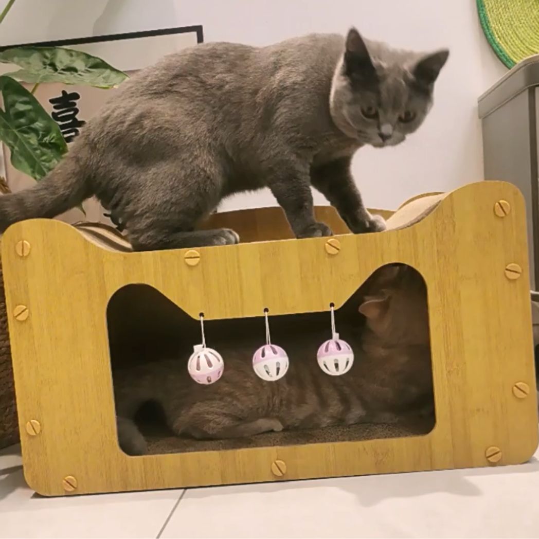 Griffoir pour chat multichats