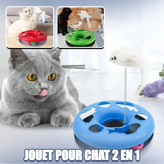 jouet-pour-chat-2en1