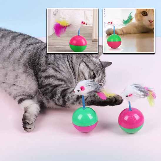 jouet-pour-chat-amusement