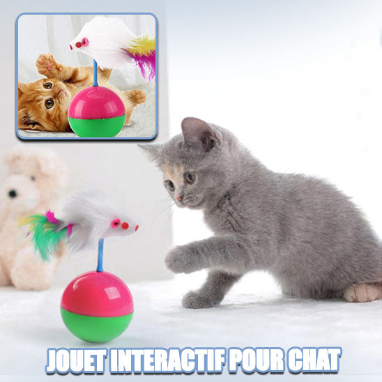 jouet-pour-chat-ludique