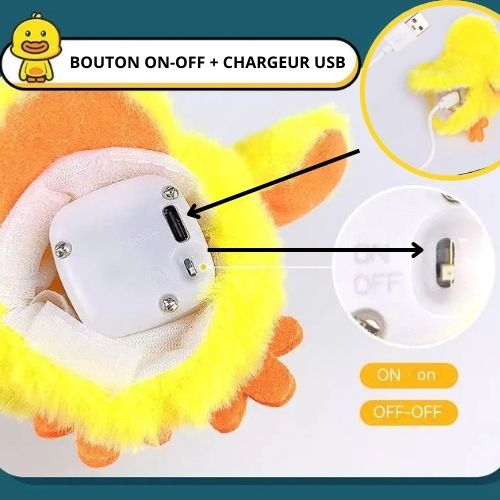 oiseau-pour-chat-chargeur