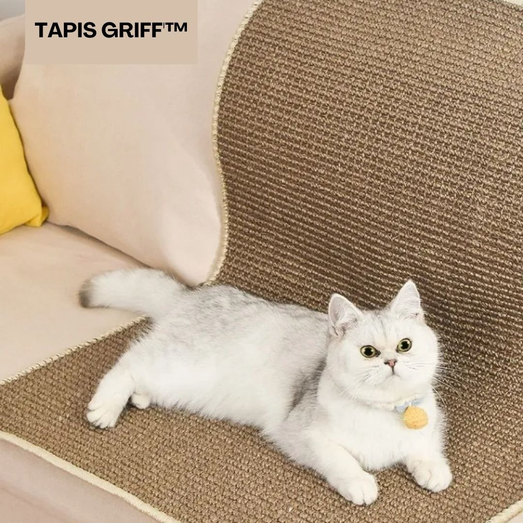 griffoir-chat-TAPIS GRIFF'™-protection-canapé-happy-minet