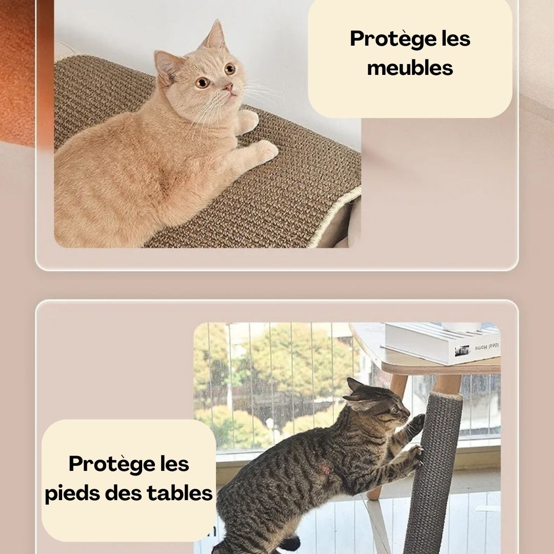 griffoir-chat-TAPIS GRIFF'™-protection-meuble-Happy-minet