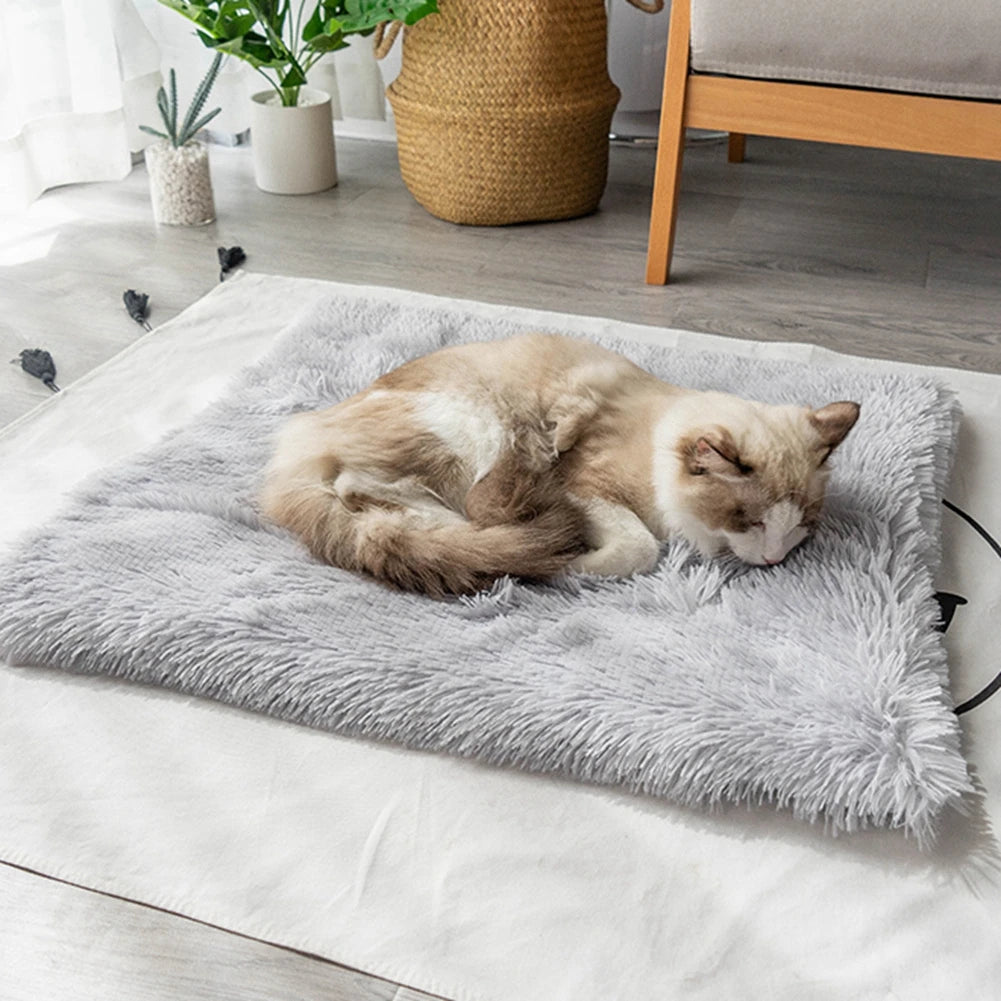 lit-pour-chat-tapis