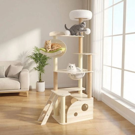 Arbre à chat aire de jeu