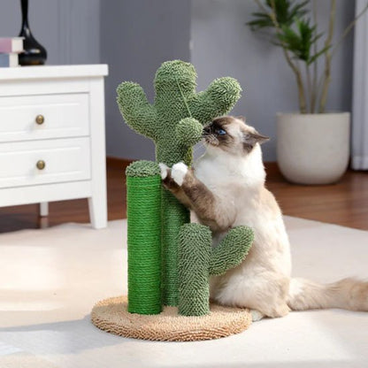 Arbre à chat cactus satisfaction