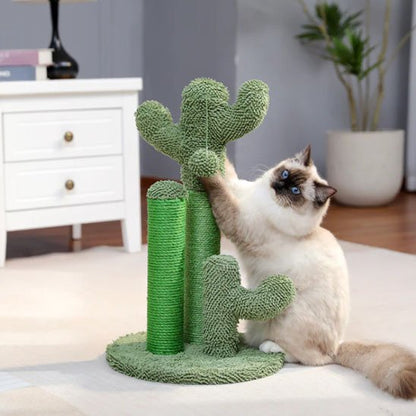 Arbre à chat cactus vert