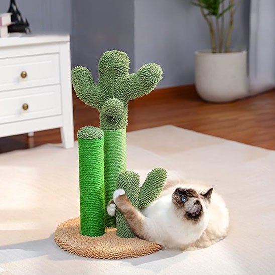 Arbre à chat cactus