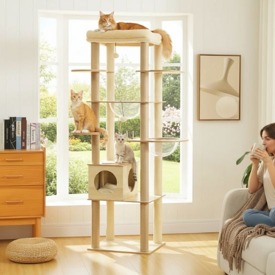 arbre a chat en bois tranquillité