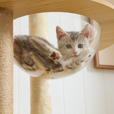 arbre a chat en bois vue panoramique