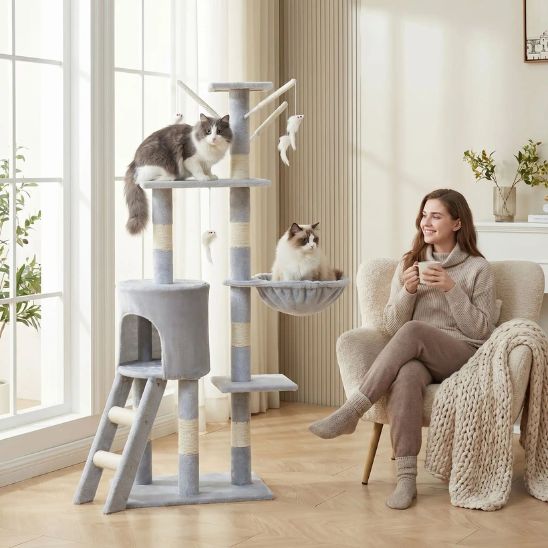 arbre a chat exploration
