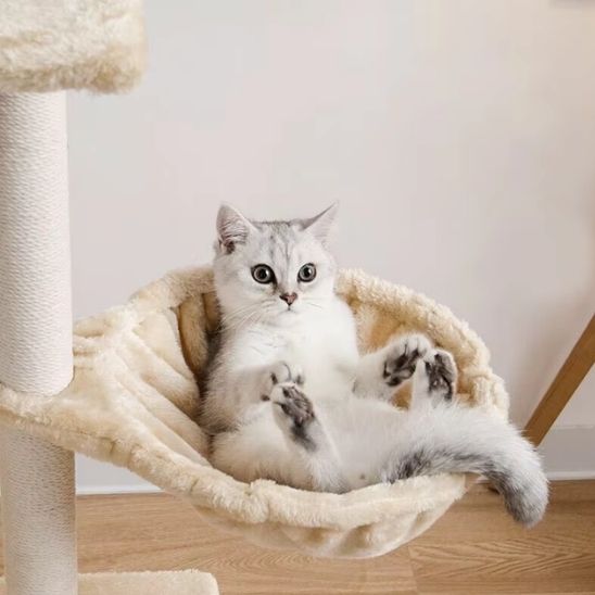 arbre a chat hamac cocon