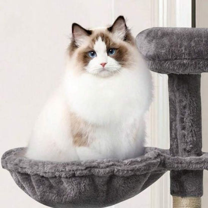 arbre a chat hamac idéal