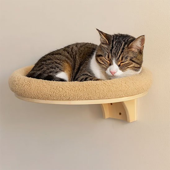 Arbre a Chat mural couchage