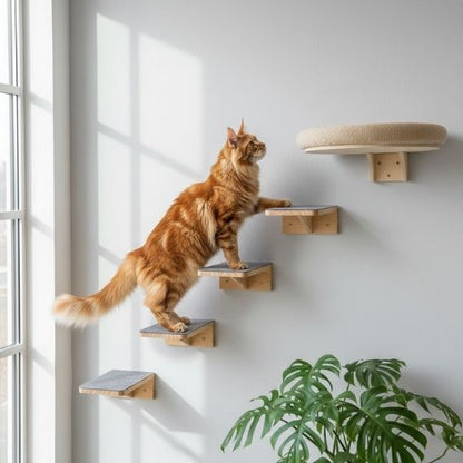 arbre a chat mural escaliers