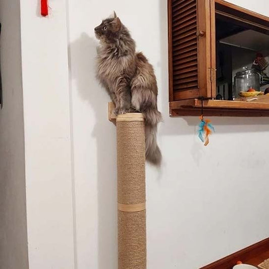 arbre à chat mural sisal
